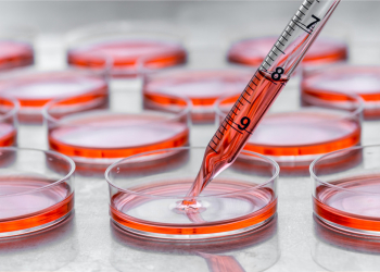 There are GMO and animal free, but is an endotoxin-free product possible?