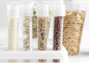 Diluents. Essential or inconsequential in food analysis?