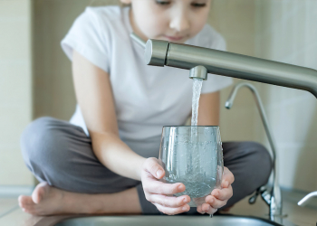 Legionella spp.: new parameter in the control of water for consumption 