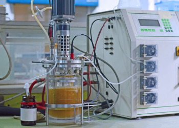 The role of peptones in modern fermentation technologies